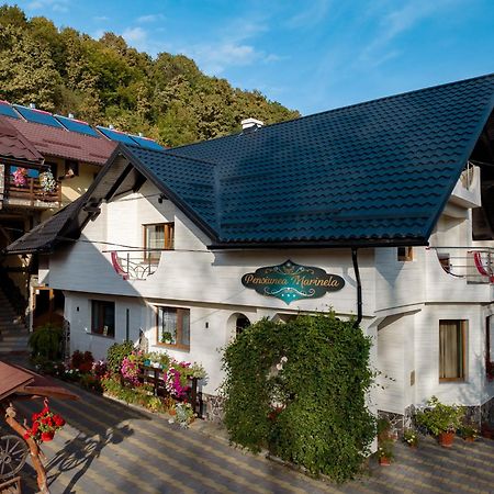 Pensiunea Marinela Sighetu Marmaţiei Exterior foto