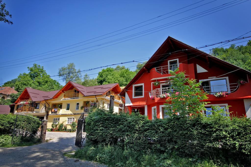 Pensiunea Marinela Sighetu Marmaţiei Exterior foto