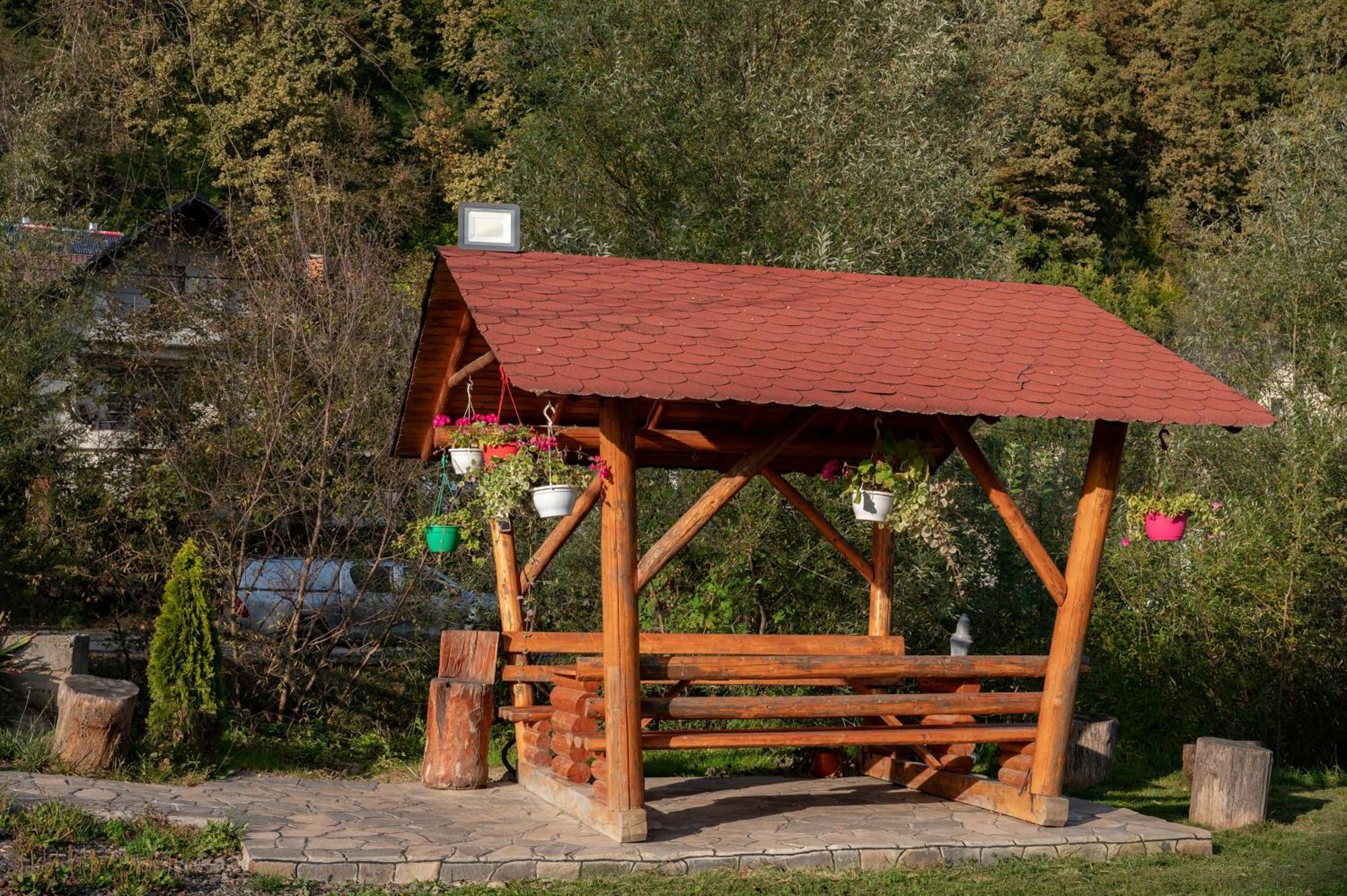 Pensiunea Marinela Sighetu Marmaţiei Exterior foto