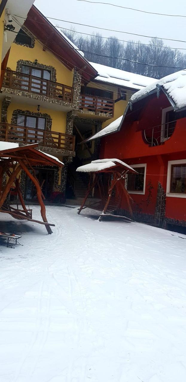 Pensiunea Marinela Sighetu Marmaţiei Exterior foto